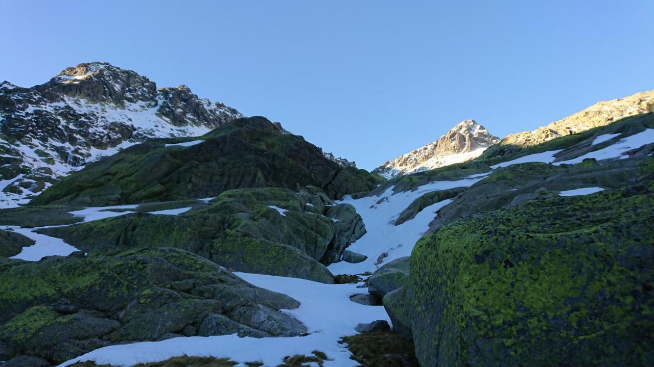 Cara Norte De Gredos Hoyos del Espino Dış mekan fotoğraf