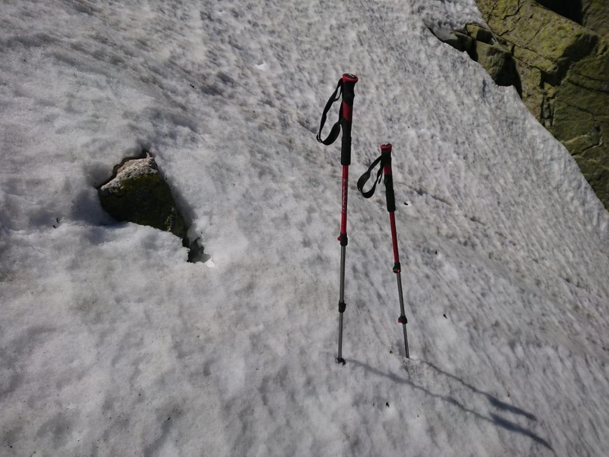 Cara Norte De Gredos Hoyos del Espino Dış mekan fotoğraf