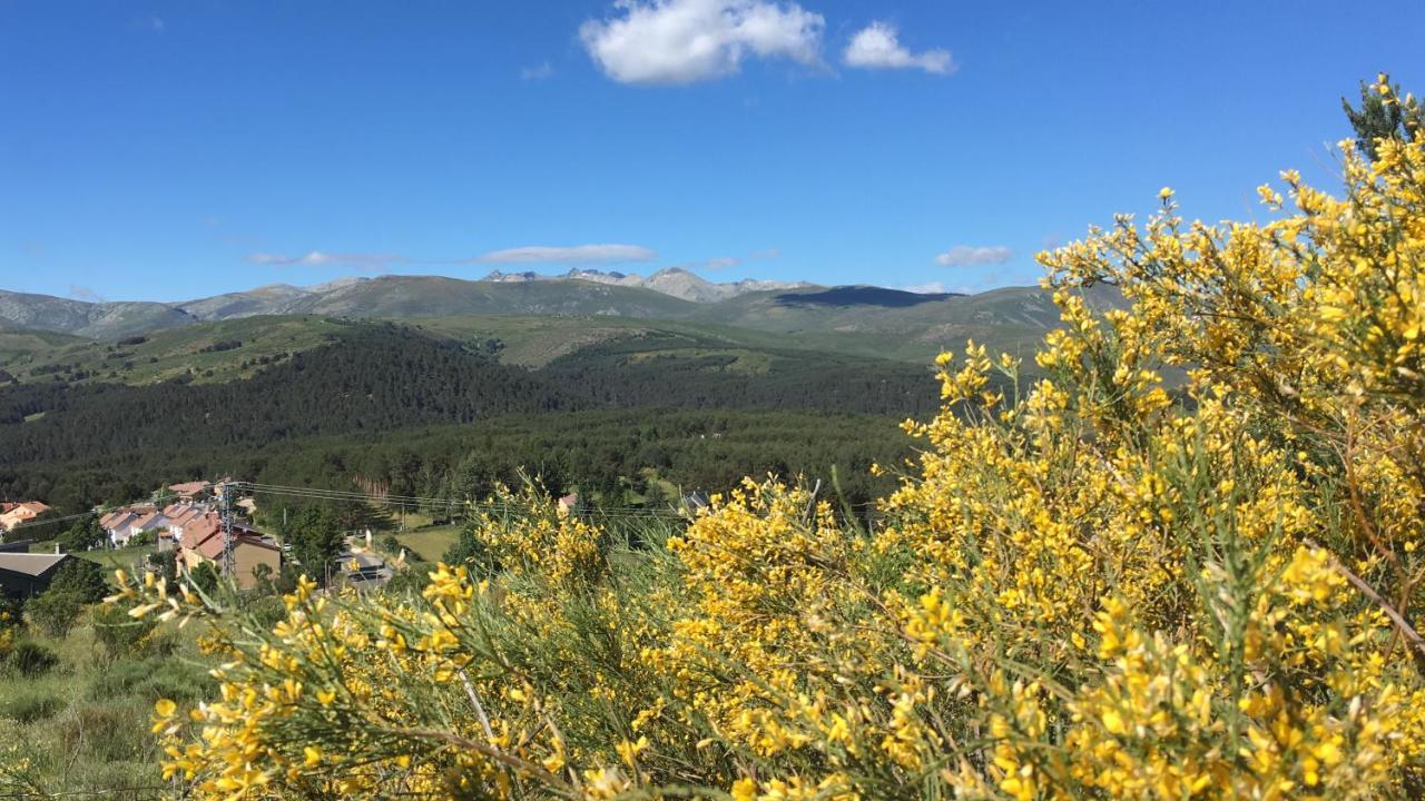 Cara Norte De Gredos Hoyos del Espino Dış mekan fotoğraf