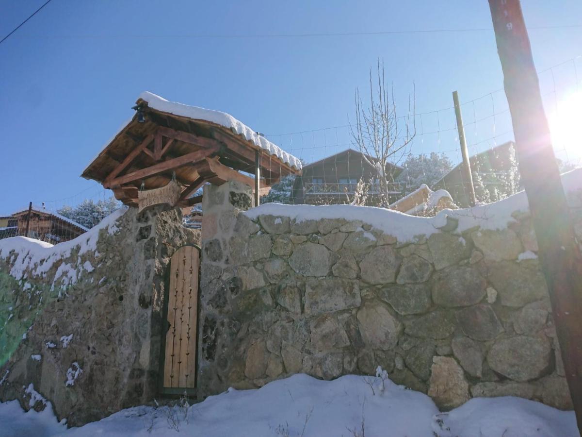 Cara Norte De Gredos Hoyos del Espino Dış mekan fotoğraf