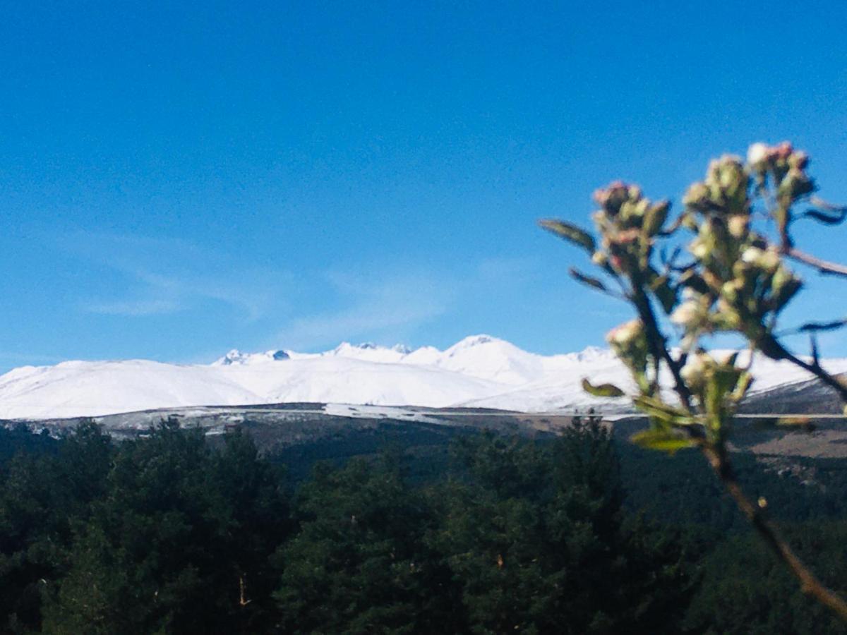 Cara Norte De Gredos Hoyos del Espino Dış mekan fotoğraf