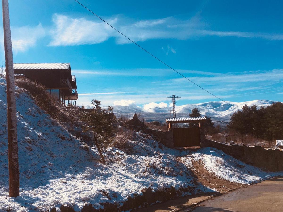 Cara Norte De Gredos Hoyos del Espino Dış mekan fotoğraf